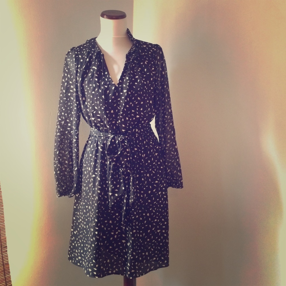 Ann Taylor Loft Dress Size 6